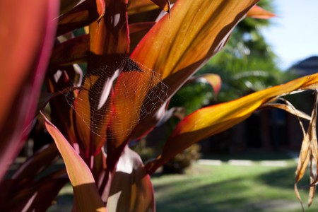 Comparta su estadía con la naturaleza