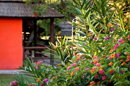 Colores, aromas, sensaciones placenteras.